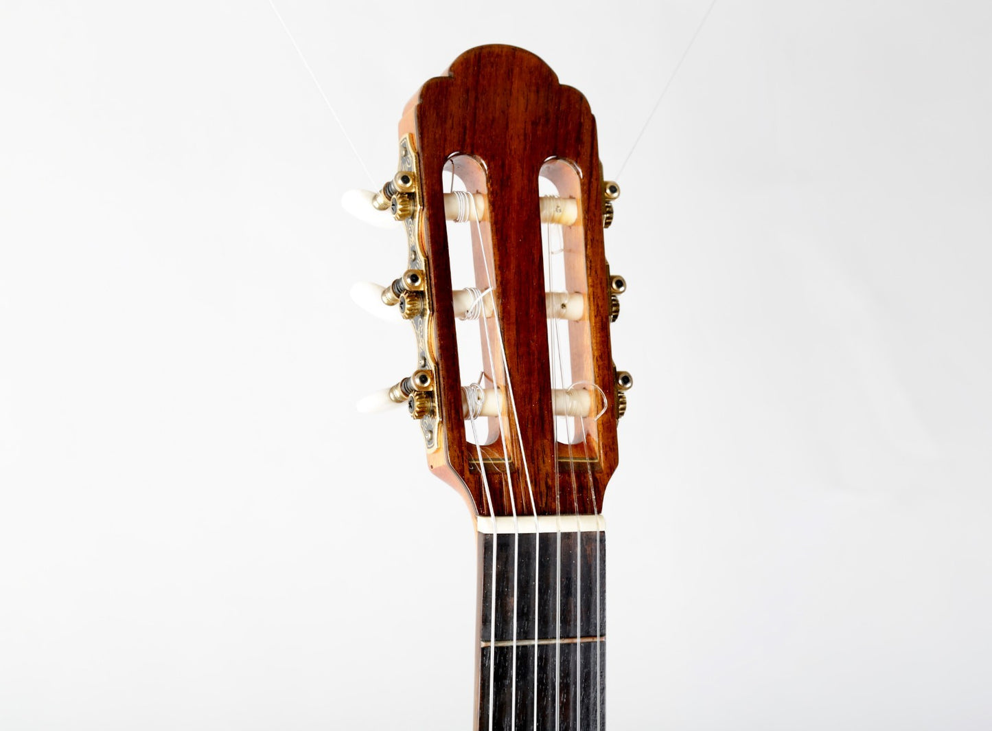 Aria A-58CWE/M Nylon String Acoustic Guitar Cutaway with Electronics