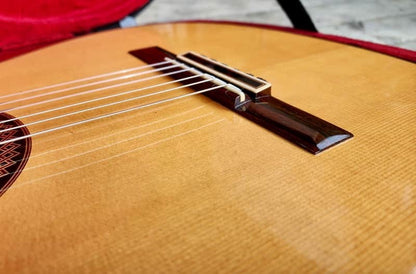Toru Fujii HDG No. 24 Custom Handmade Concert Classical Guitar Japan (UNIQUE)