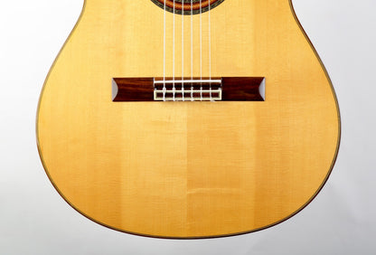Aria A-58CWE/M Nylon String Acoustic Guitar Cutaway with Electronics
