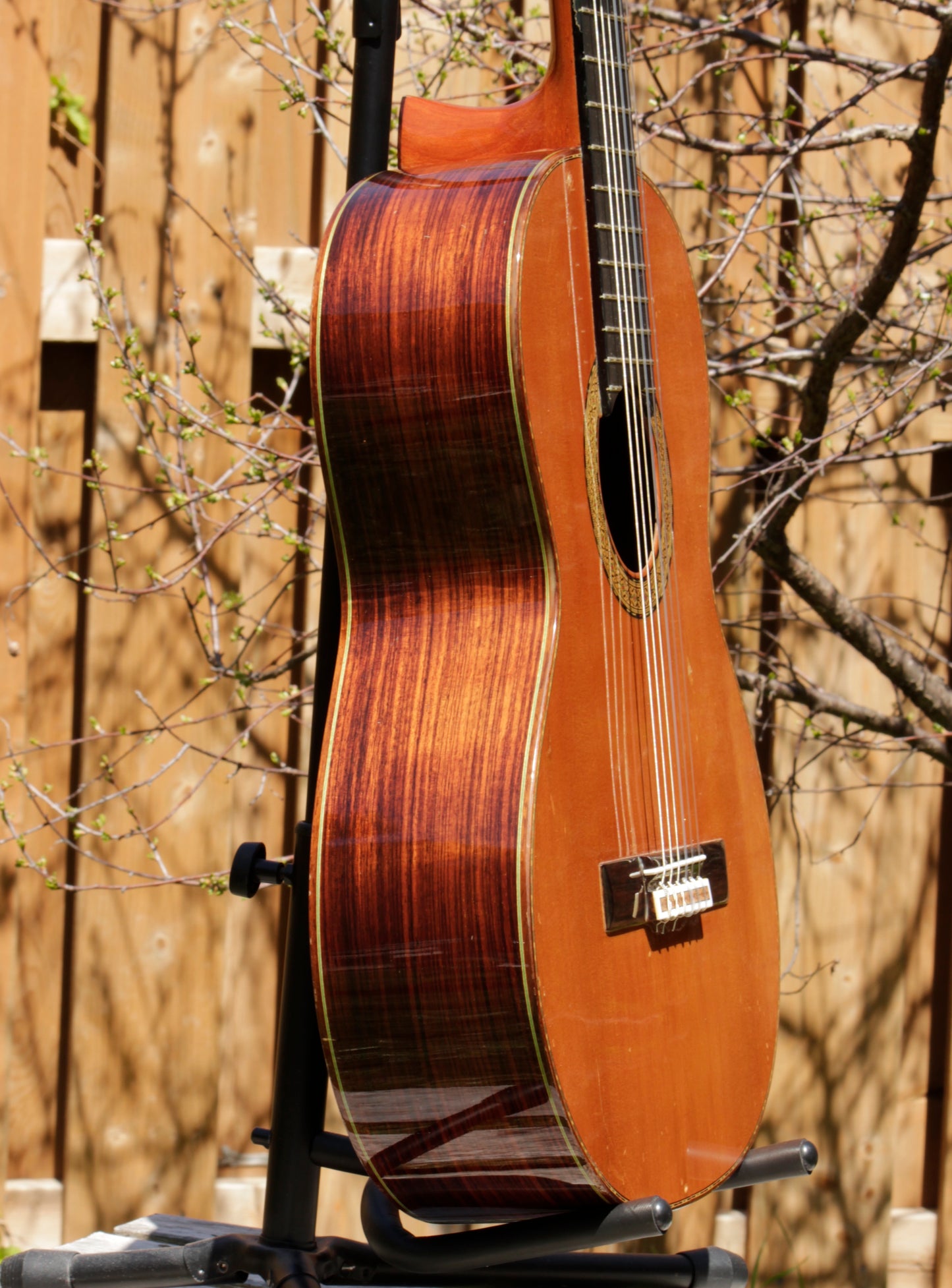 Amalio Burguet 2M Handmade Classical Guitar Spain 2001