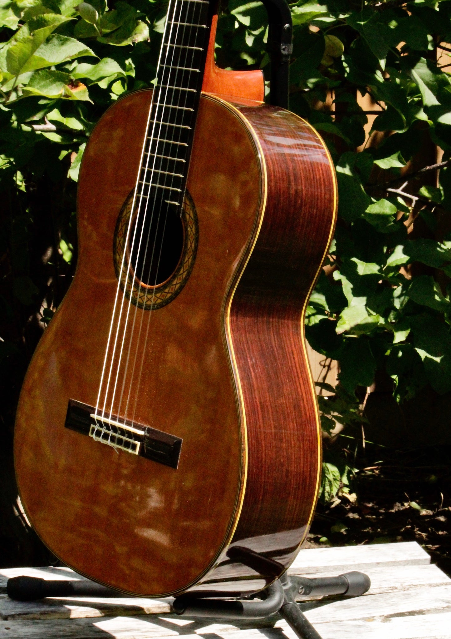 Takamine No 5 Concert Classical Guitar Japan 2000s