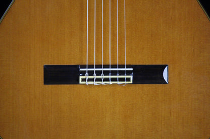 Takamine Aranjuez No 6 Concert Classical Guitar Japan 1978