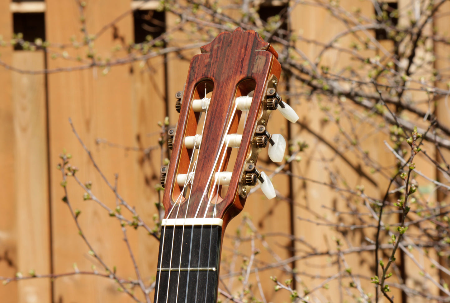 Amalio Burguet 2M Handmade Classical Guitar Spain 2001