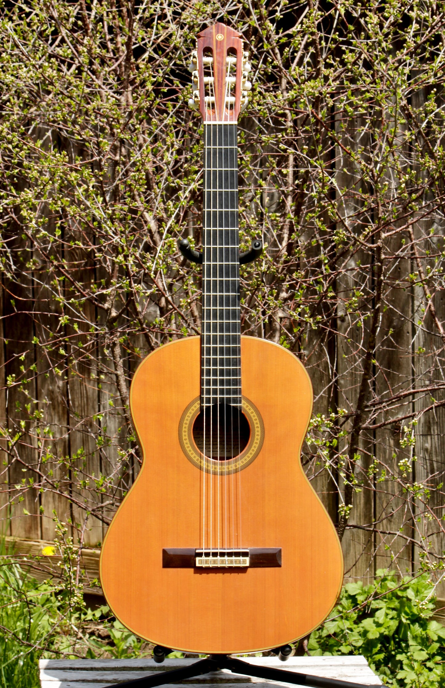 Yamaha GC-7S Handmade Concert Classical Guitar, Signed by Shuhiro Harada, Solid Cedar, IRW 1976