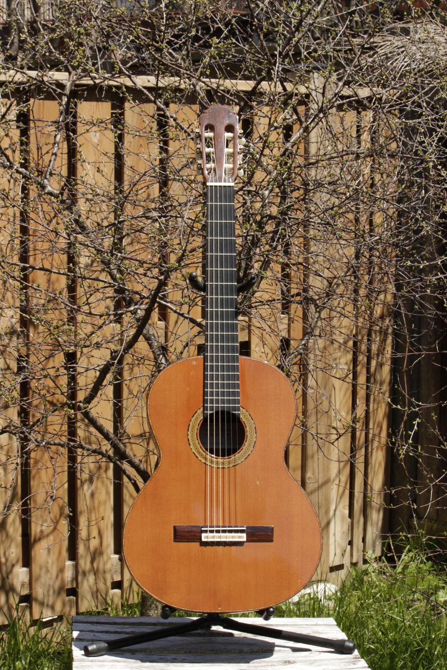 Amalio Burguet 2M Handmade Classical Guitar Spain 2001