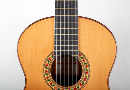 Jose Ramirez 1NE Classical Guitar Handmade in Spain 2017, Solid Cedar, IRW