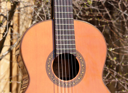 Morris MC-50 Classical Guitar Beautiful BRW Japan 1980s