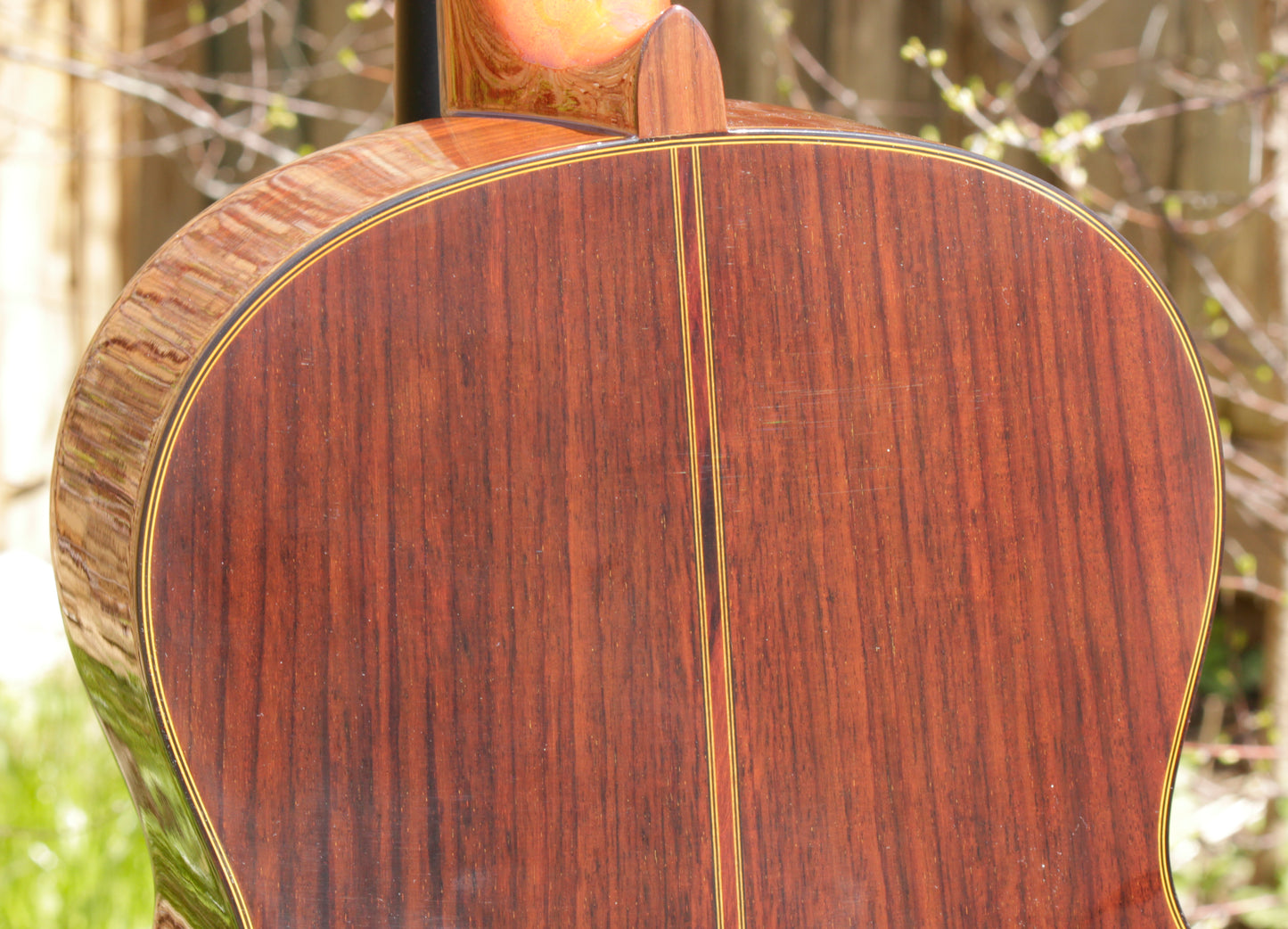Yamaha GC-11C Grand Concert Classical Guitar 2007 Solid Cedar, IRW