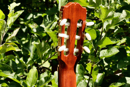 Takamine No 5 Concert Classical Guitar Japan 2000s