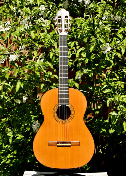 Antonio Sanchez 1017 Handmade Classical Guitar Spain 1999