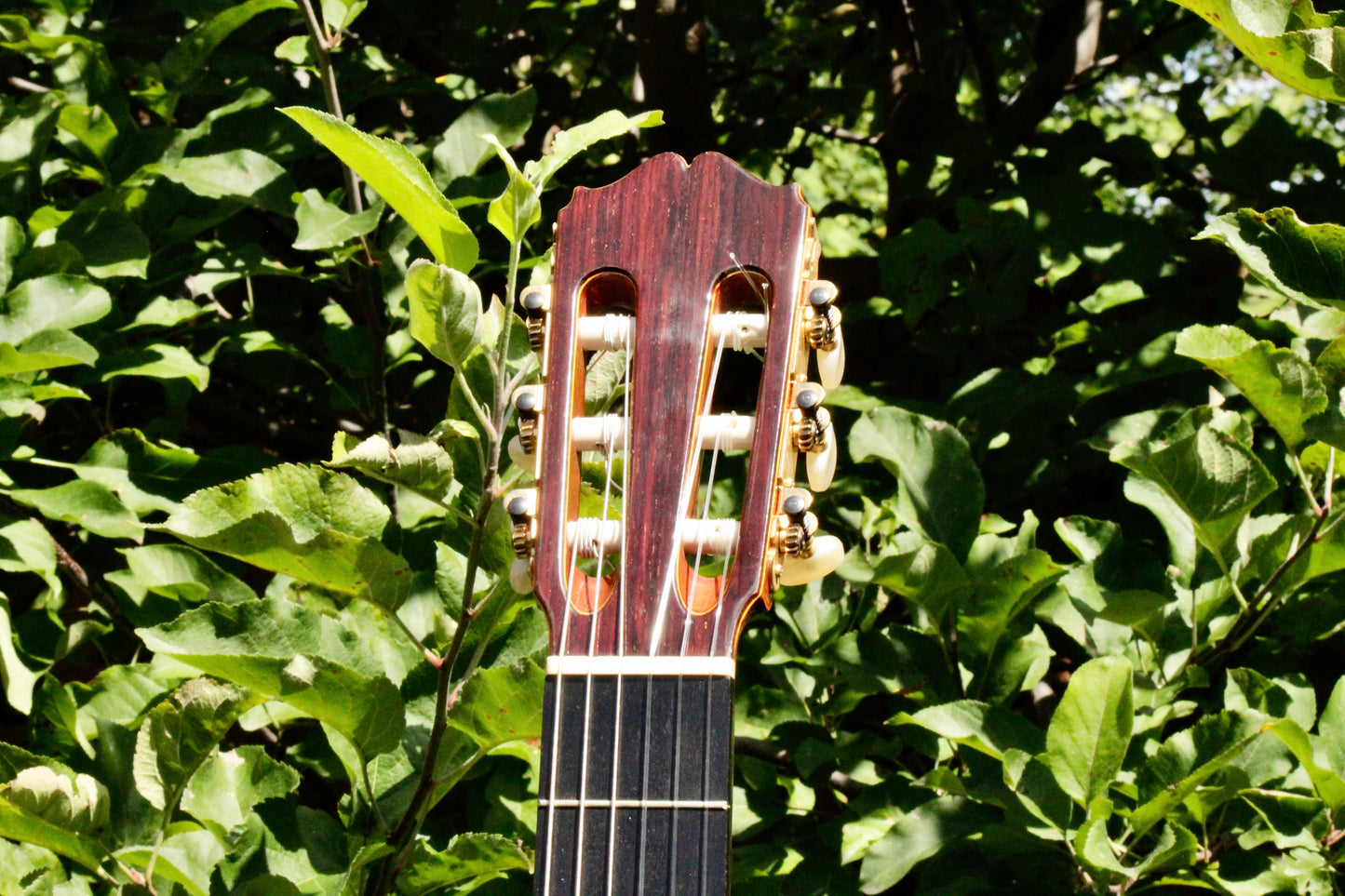 Takamine Aranjuez No 5 Kohno Top Solid Cedar Handmade Classical Guitar Japan 1977