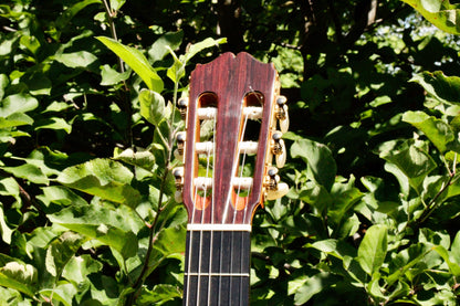 Takamine Aranjuez No 5 Kohno Top Solid Cedar Handmade Classical Guitar Japan 1977