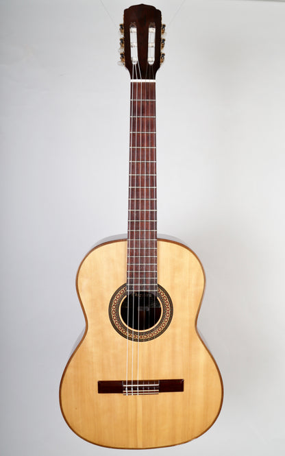 Giannini AWN C1 Classical Guitar Spruce Top, BRW Back and Sides, Brazil 1970s (642 mm Scale)