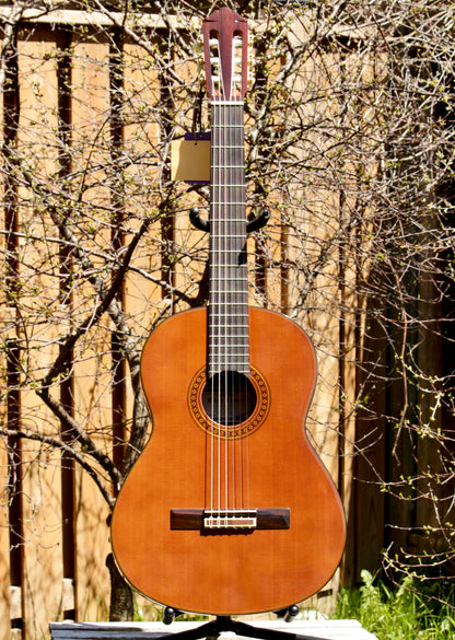 Yamaha GC-11C Grand Concert Classical Guitar 2007 Solid Cedar, IRW