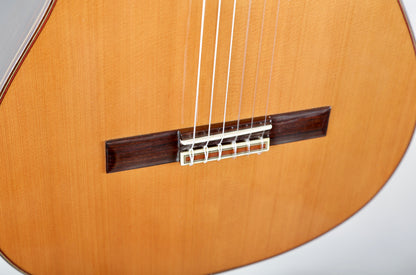 Jose Ramirez 1NE Classical Guitar Handmade in Spain 2017, Solid Cedar, IRW