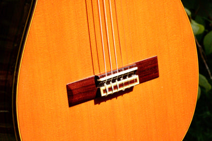 Takamine Aranjuez No 5 Kohno Top Solid Cedar Handmade Classical Guitar Japan 1977