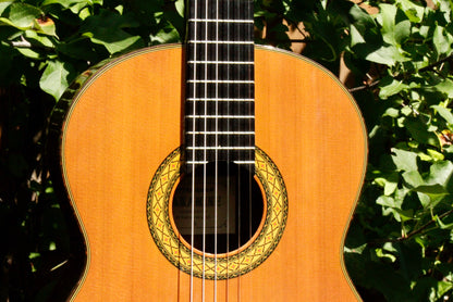 Takamine No 5 Concert Classical Guitar Japan 2000s