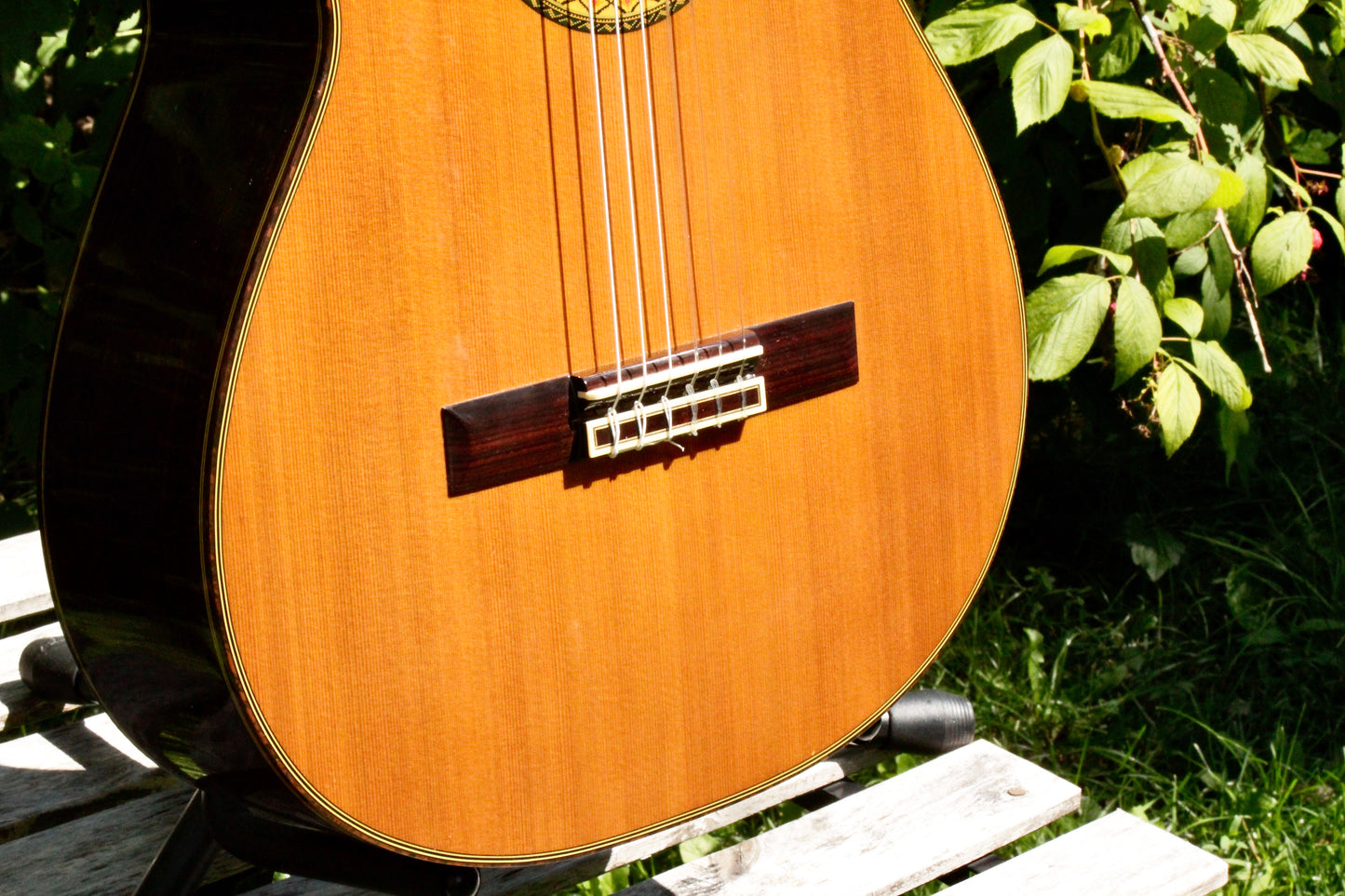 Takamine No 5 Concert Classical Guitar Japan 2000s