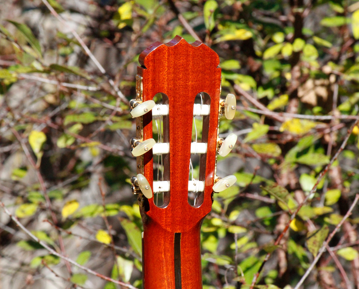 Kazuo Yairi YC80 Handmade Concert Classical Guitar, Brazilian Rosewood Japan 1981