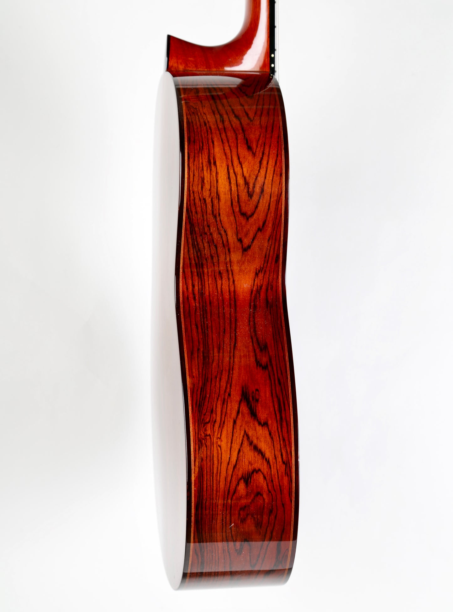 Morris MC-50 Classical Guitar Macassar Ebony Japan 2000s