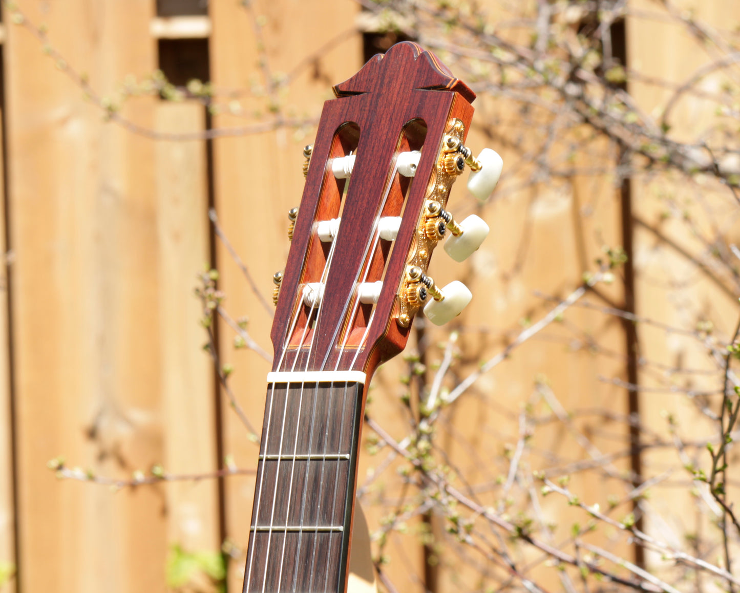 Yamaha GC-11C Grand Concert Classical Guitar 2007 Solid Cedar, IRW