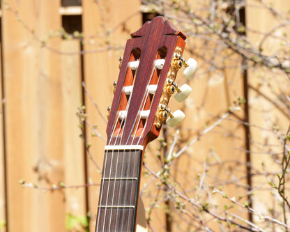 Yamaha GC-11C Grand Concert Classical Guitar 2007 Solid Cedar, IRW
