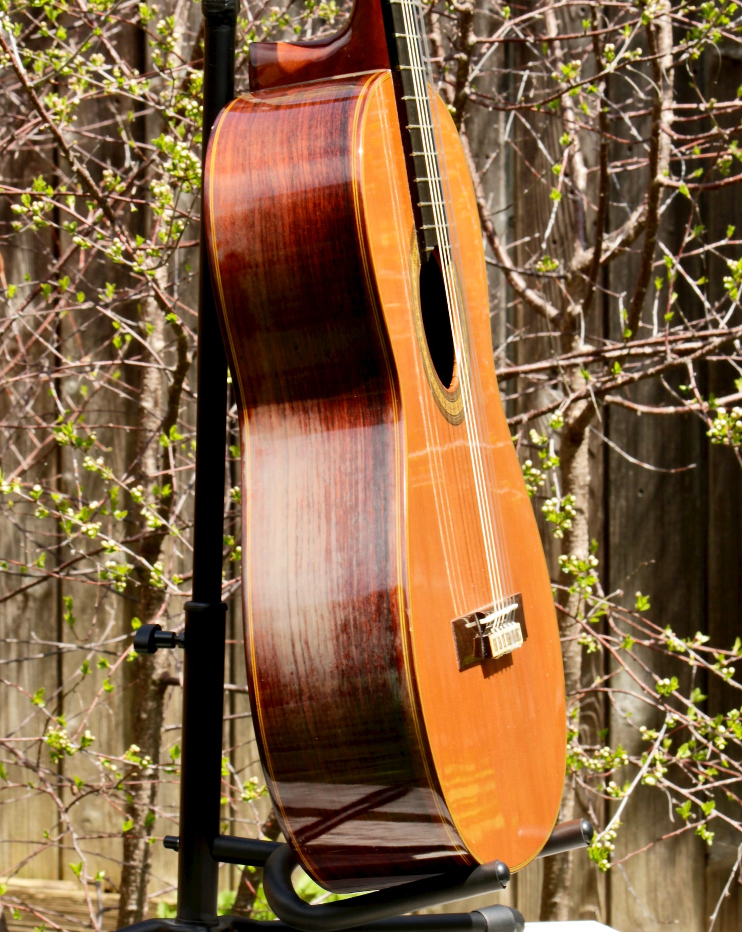 Yamaha GC-7S Handmade Concert Classical Guitar, Signed by Shuhiro Harada, Solid Cedar, IRW 1976