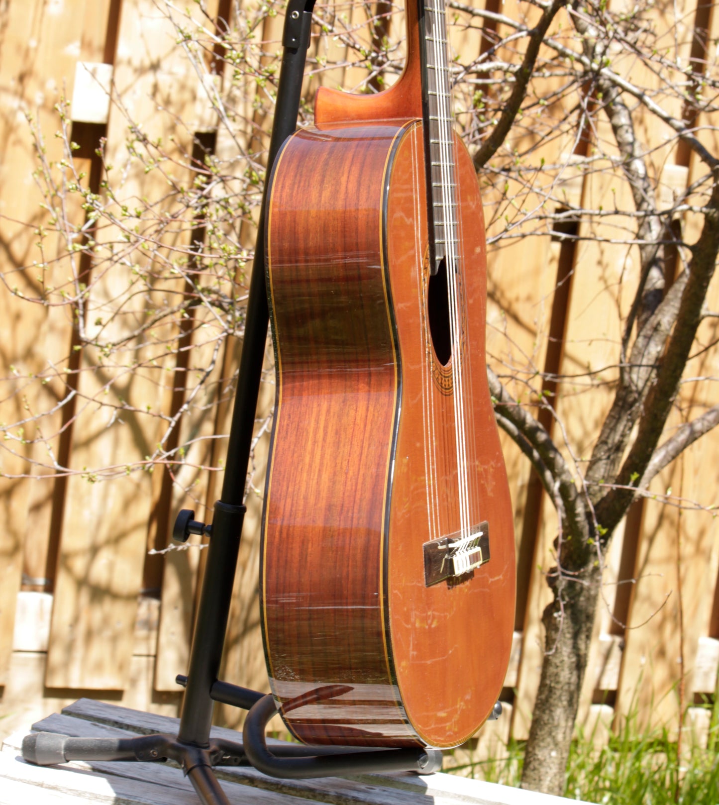 Yamaha GC-11C Grand Concert Classical Guitar 2007 Solid Cedar, IRW