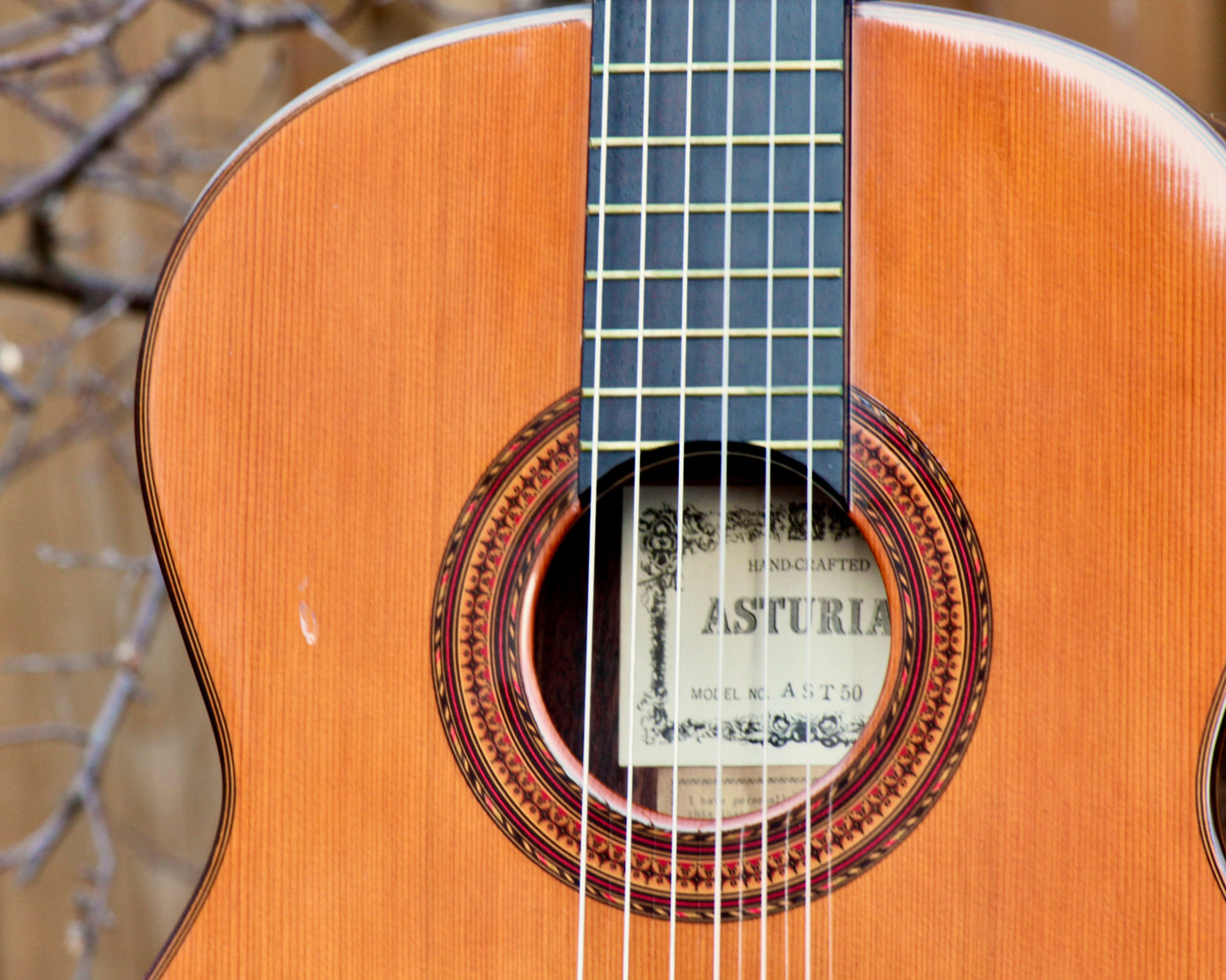 Asturias AST-50 Handmade Classical Guitar Signed by Masaru Matano Japan 1979